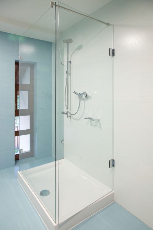 Elegant Shower Renovation